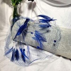 Vintage Feather Veil